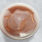 Best Duck Sauce in Philadelphia, PA